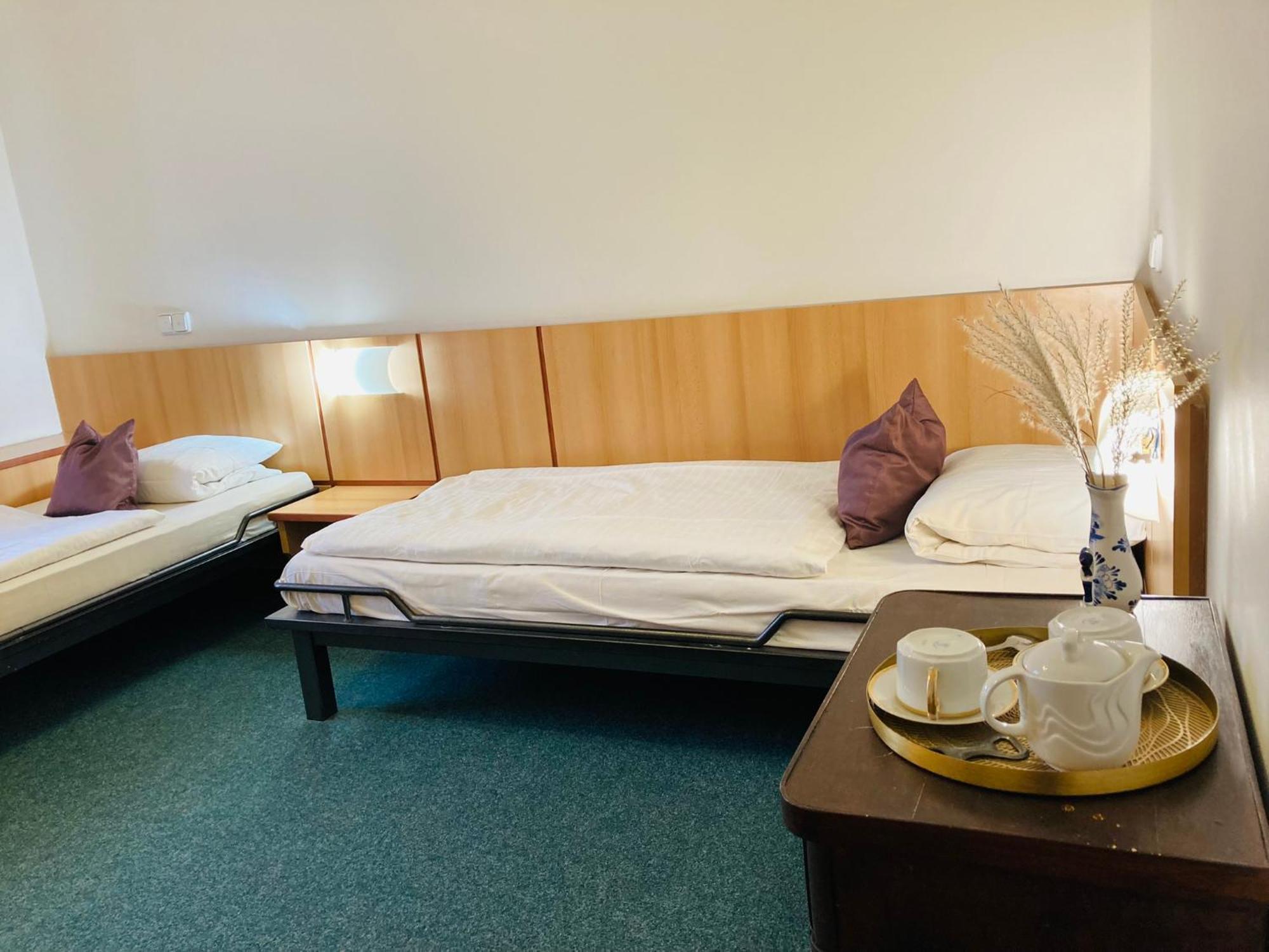 Penzion Hotelu Central Двур-Кралове-над-Лабем Номер фото